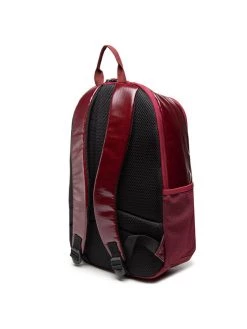 Sprandi Γυναίκες Σακίδια Πλάτης Σακίδιο BSP-S-105-30-06 Μπορντό 10 Sprandi Γυναίκες Σακίδια Πλάτης Σακίδιο BSP-S-105-30-06 Μπορντό -Sprandi Εκπτώσεις unnamed file 1485