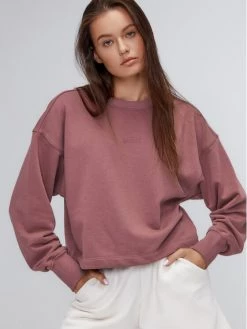 Sprandi Γυναίκες Μπλούζες Μπλούζα AW21-BLD008 Ροζ Relaxed Fit